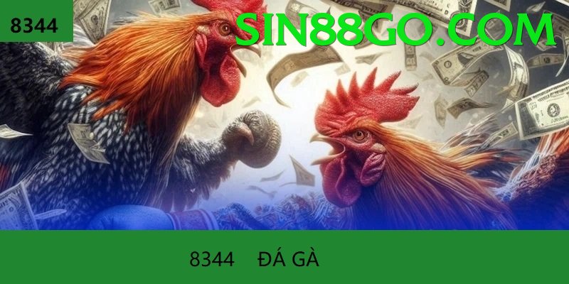 Đá Gà Trực Tiếp - Ưu đãi đặc biệt - Dành cho điện thoại cấu hình thấp