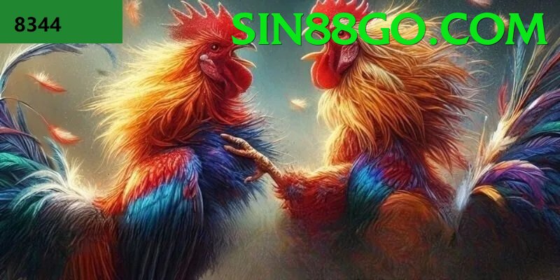 Đá Gà Trực Tiếp - sin88 - Android