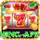 vcjogo Mega Gaming App